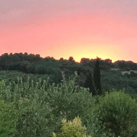 Gite Au Coeur Du Pays Cathare Verzeille Εξωτερικό φωτογραφία